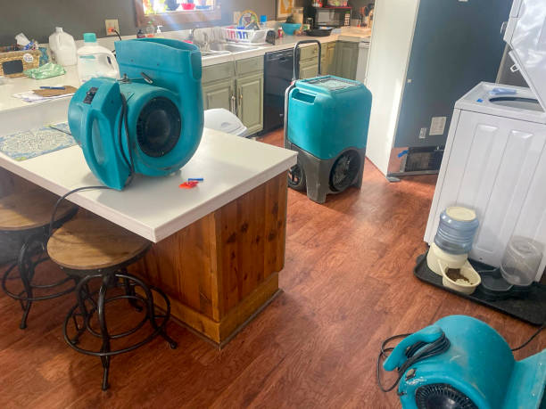 Best Flood damage cleanup  in Happy Valley, OR
