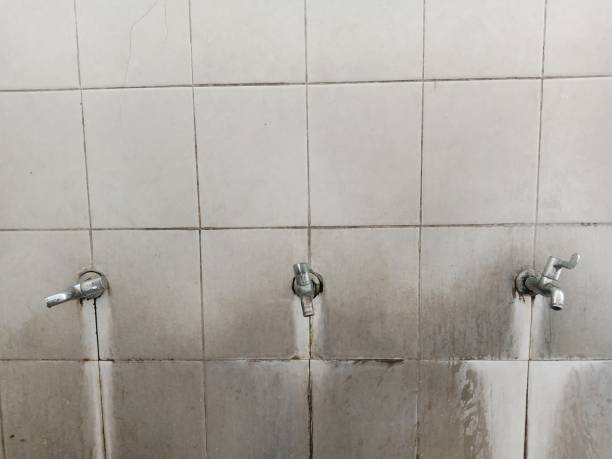Best 24/7 water damage repair  in Happy Valley, OR