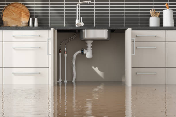 Best Carpet water damage restoration  in Happy Valley, OR