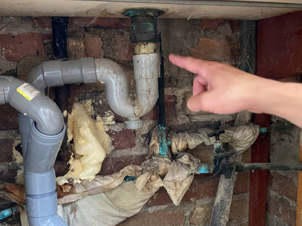 Best Water damage cleanup near me  in Happy Valley, OR